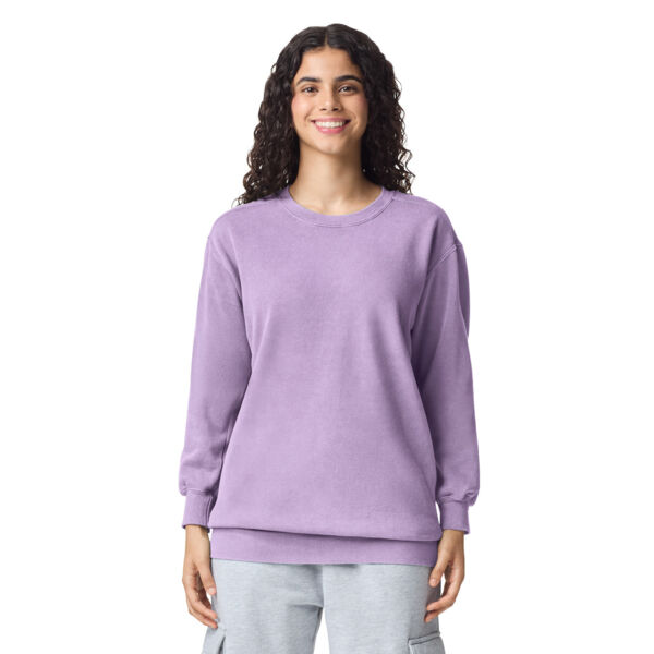 Crewneck Sweatshirt Thumbnail